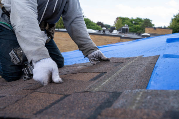 Gutter Installation and Roofing in Henrietta, TX